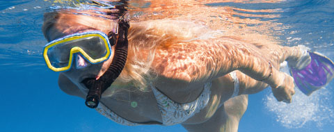 Snorkeling gear